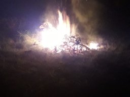 WhatsApp Bild 2024-07-19 um 21.59.06_0b38a260